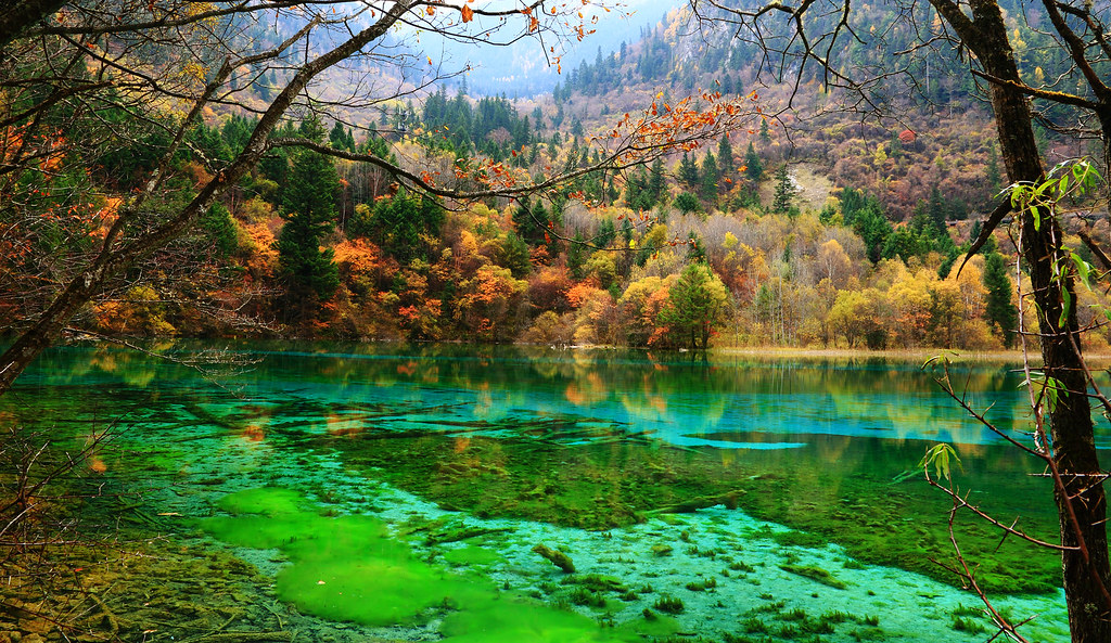 Турагенты составили топ‑5 живописнейших мест для россиян в безвизовом Китае